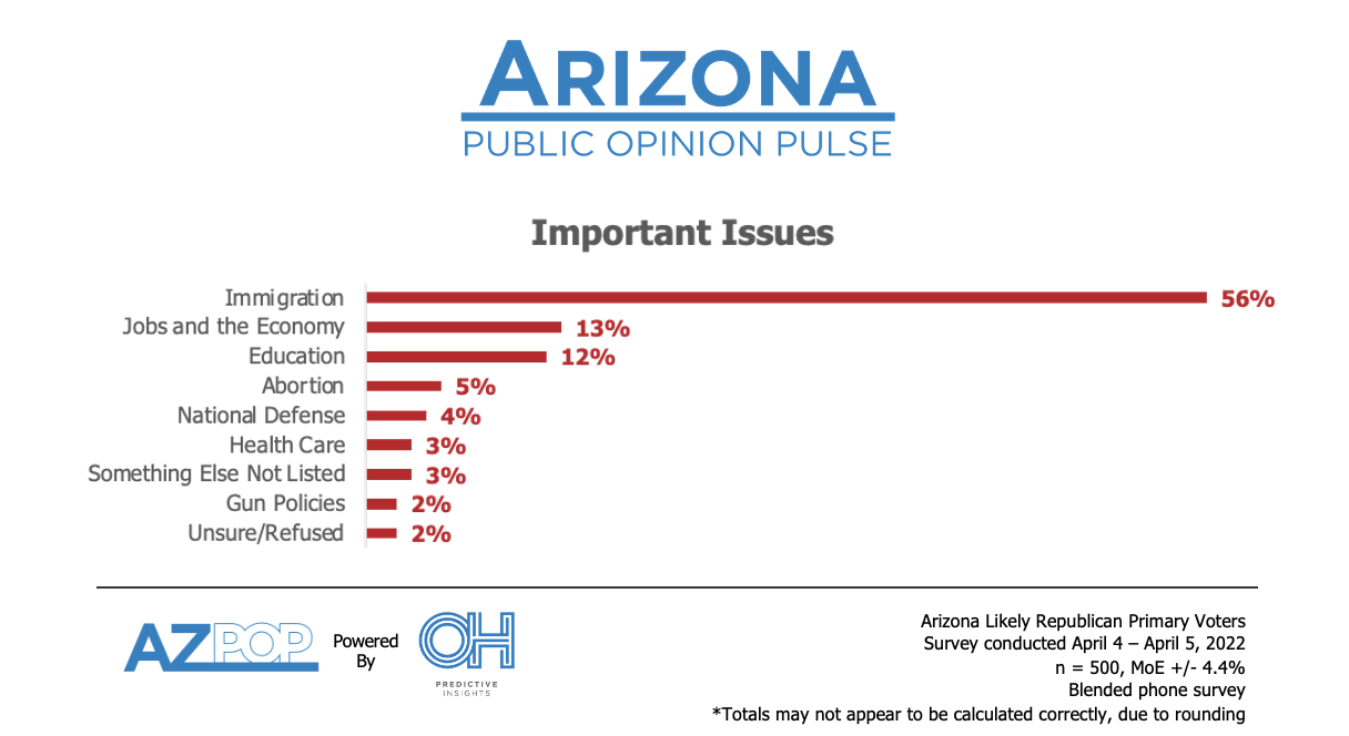 GOP Primary Voter Top Issues