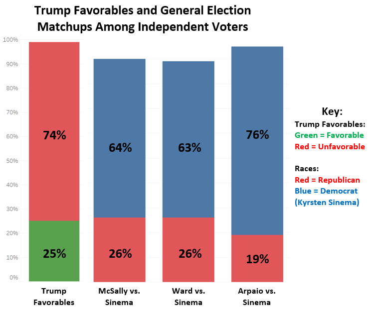 Independent Voter Breakdown